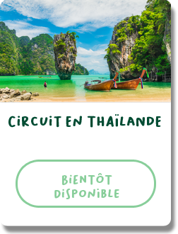 Produits-Clea-circuit-thailande2.png