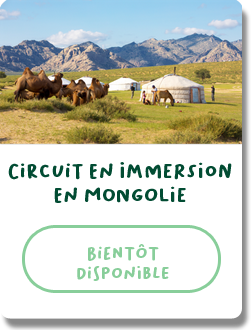 Produits-Clea-immersion-mongolie2.png